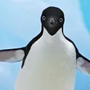 dalyisaac
