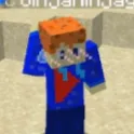ginjaninja4743