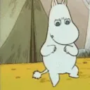 morrknorr