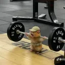 carloss_vk