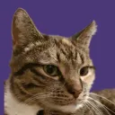 ninobf