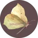 eidolon.aeon