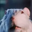 themiceprincipal
