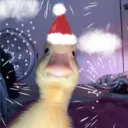 Аватар utka_1_4_8_8