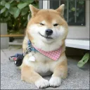 doxbinmisha