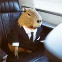 hecdipta