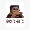 borgir0504