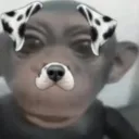 michzinha