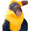 odeliciotron3000