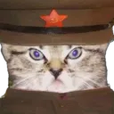 comradecat7655
