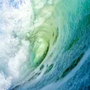 pornhoarder1982 avatar