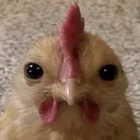 nanothinks