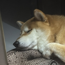 avatar Ilikewatermelons