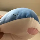 7497