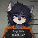 avatar ☠️Гейдж Стелле☠️