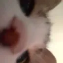 xztne