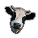 d9vfisback