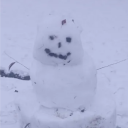 avatar Mr.Schadenfreude