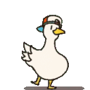kool_duck