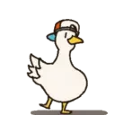 kool_duck