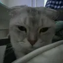 Аватар be1ugan