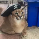 Аватар xfloppax