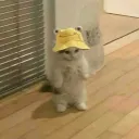 angelo_hey