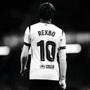 rexbo_0