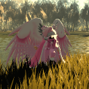 avatar hnth10 fox spring (goddess)