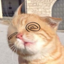 omg.tuna#0522's avatar