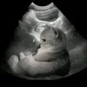 geeeg._.