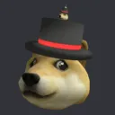 doge_0