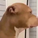 billynightmare