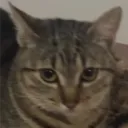 xandernasir