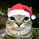 el_srgatito