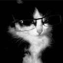 kimmyins avatar