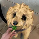 pogostickz