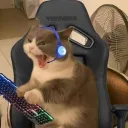 turtlenapagong avatar