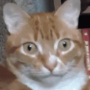 avatar Rachel Schlurz