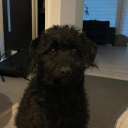 emilgameboy07's Avatar