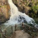 avatar Phuong - PAI Support