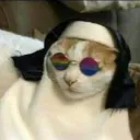 eljodaspintacoito6332 avatar