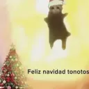 harol3226 avatar