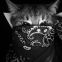 avatar Ash ⋆˚꩜.ᐟ