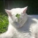 avatar superxavier2.0