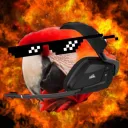 macawgaming