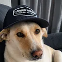 _appo_