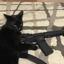 T s u k i