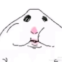 avatar 𐔌՞. .՞𐦯