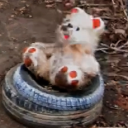 avatar { HOLY ARCHANGEL EMPEROR }